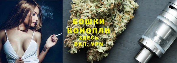 индика Щёлкино
